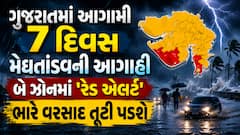 ગુજરાતમાં આગામી 7 દિવસ મેઘતાંડવની આગાહી: આ બે ઝોનમાં 'રેડ એલર્ટ', ભારે વરસાદ તૂટી પડશે
