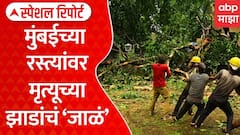 Mumbai Rain Tree Fall | मुंबईच्या रस्त्यांवर मृत्यूच्या झाडांचं 'जाळं' | ABP Majha Special Report