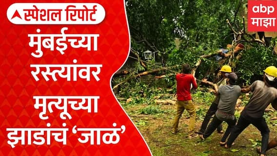 Mumbai Rain Tree Fall | मुंबईच्या रस्त्यांवर मृत्यूच्या झाडांचं 'जाळं' | ABP Majha Special Report