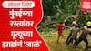 Mumbai Rain Tree Fall | मुंबईच्या रस्त्यांवर मृत्यूच्या झाडांचं 'जाळं' | ABP Majha Special Report