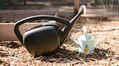 Gardening Tools:  गार्डनिंग शुरू करने से पहले खरीद लें ये 7 जरूरी टूल्स, पौधों की देखभाल होगी आसान