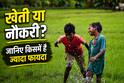 Farming vs Job: खेती छोड़ नौकरी या नौकरी छोड़ खेती, जानिए किसमें है ज्यादा फायदा?