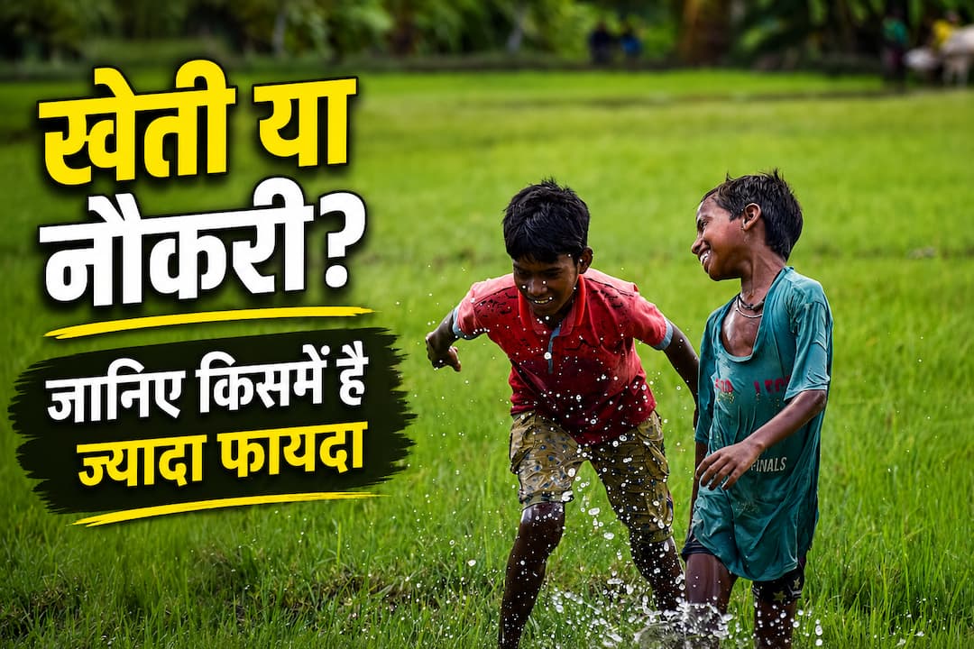 खेती छोड़ नौकरी या नौकरी छोड़ खेती, जानिए किसमें है ज्यादा फायदा? खेती छोड़ नौकरी या नौकरी छोड़ खेती, जानिए किसमें है ज्यादा फायदा?