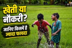 खेती छोड़ नौकरी या नौकरी छोड़ खेती, जानिए किसमें है ज्यादा फायदा?