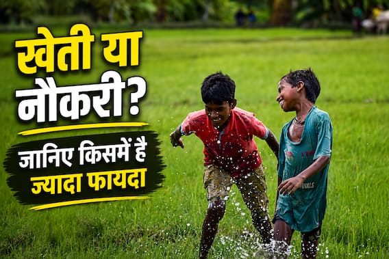 Farming vs Job: खेती छोड़ नौकरी या नौकरी छोड़ खेती, जानिए किसमें है ज्यादा फायदा? Farming vs Job: खेती छोड़ नौकरी या नौकरी छोड़ खेती, जानिए किसमें है ज्यादा फायदा?