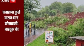 महाडच्या कुर्ले घाटात दरड कोसळली, झाडासह मातीचा मोठा ढिगारा रस्त्यावर, महाड - विन्हेरे मार्गावरील वाहतूक बंद  