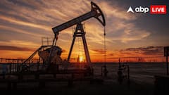OPEC+ देश करेंगे बंपर तेल उत्पादन! क्या भारत में सस्ता होगा पेट्रोल-डीजल? जानें इसका गणित