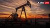 OPEC+ देश करेंगे बंपर तेल उत्पादन! क्या भारत में सस्ता होगा पेट्रोल-डीजल? जानें इसका गणित