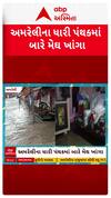 Amreli Rain : અમરેલીના ધારીમાં બારેમેઘ ખાંગા