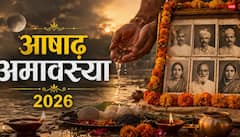 Ashadha Amavasya 2026: 14 जुलाई को दुर्लभ संयोग! आषाढ़ अमावस्या पर करें ये एक उपाय, पितृ दोष के साथ हनुमान जी की भी मिलेगी कृपा