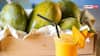 Mango Shake Vs Aamras: ਮੈਂਗੋ ਸ਼ੇਕ ਜਾਂ ਅਮਰਸ? ਜਾਣੋ ਸਵਾਦ, ਪੋਸ਼ਣ ਅਤੇ ਸਿਹਤ ਲਈ ਕਿਹੜਾ ਹੈ ਬਿਹਤਰ