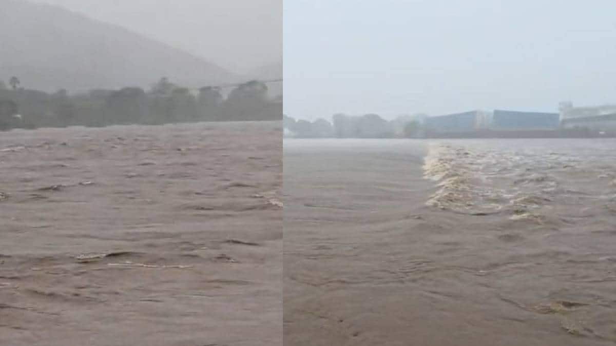 पालघर, वसई-विरारमध्ये मुसळधार पावसाने हाहाकार; नद्यांनी ओलांडली धोक्याची पातळी, साचलेल्या पाण्यात कार घुसून अपघात