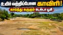 உயிர் வற்றிப்போன காவிரி! காய்ந்து கருகும் டெல்டா பூமி; தீராத தாகத்தில் தமிழகத்தின் நெற்களஞ்சியம்!