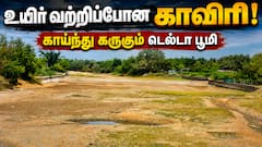 உயிர் வற்றிப்போன காவிரி! காய்ந்து கருகும் டெல்டா பூமி; தீராத தாகத்தில் தமிழகத்தின் நெற்களஞ்சியம்!