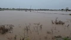Amreli Rain: અમરેલીના ધારી પંથકમાં બારે મેઘ ખાંગા, 10 ઈંચ વરસાદથી જળબંબાકાર