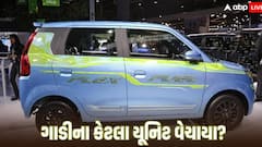 ફક્ત 3 યુનિટ જ કેમ વેચાઈ WagonR Flex-Fuel, જાણો વેચાણ ઓછું થવા પાછળનું કારણ?