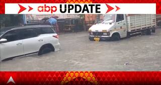 Monsoon Alert: One killed, several injured as trees collapse across Mumbai.