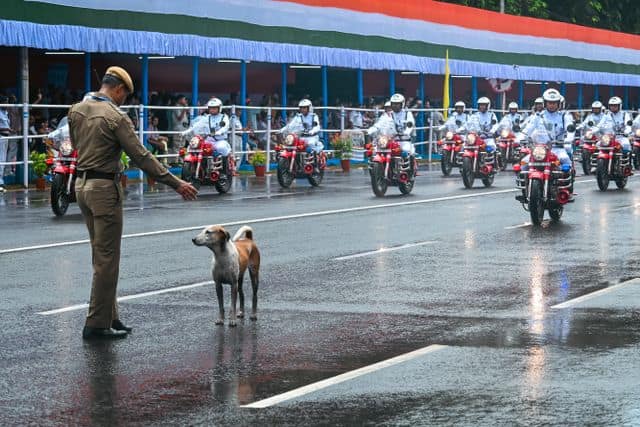 जेल एवं सुधार सेवा विभाग में नौकरी का इंतजार कर रहे उम्मीदवारों के लिए भी यह अच्छा मौका है. इस विभाग में 223 पदों पर भर्ती होगी. इनमें उप जेलर (पुरुष एवं महिला) और वार्डर (पुरुष एवं महिला) के पद शामिल हैं.