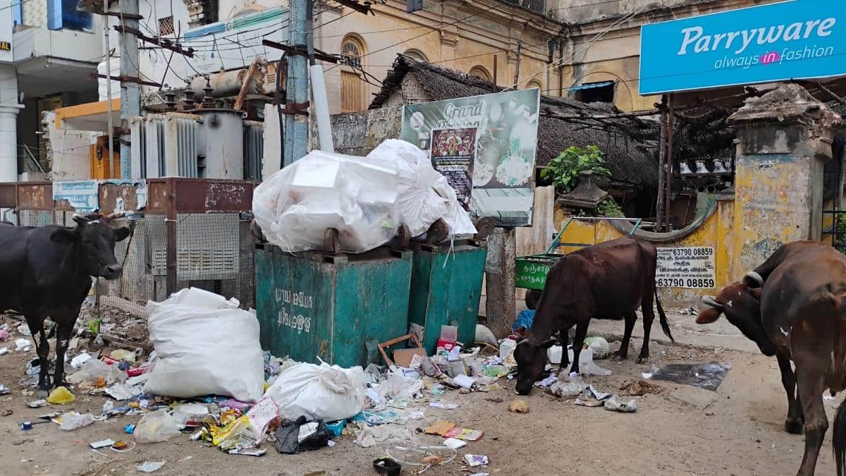 குப்பைத் தொட்டிகளை அகற்றிய மாநகராட்சி... சிபிஎம்(எல்) விடுத்துள்ள எச்சரிக்கை