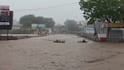 Amreli Rain: અમરેલીના ધારી પંથકમાં બારે મેઘ ખાંગા, 10 ઈંચ વરસાદથી જળબંબાકાર