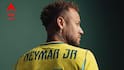 Neymar Announces Retirement : 'আমি চেষ্টা করে গেছি, কিন্তু এবার শেষ', আন্তর্জাতিক ফুটবল থেকে অবসর ঘোষণা নেমারের
