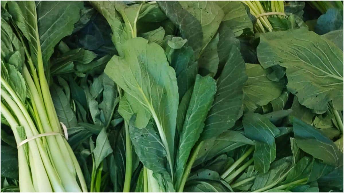 Vegetables In Monsoon : వర్షాకాలంలో తాజా కూరగాయలు ఎలా కొనాలి? ఉల్లిపాయ, వంకాయ వంటివి కొనేటప్పుడు ఈ టిప్స్ ఫాలో అవ్వండి