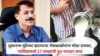 Tukaram Mundhe Nashik FDA Raid: तुकाराम मुंढेंच्या खात्याचा भेसळखोरांना मोठा दणका, नाशिकमध्ये 17 लाखांची दूध पावडर जप्त; 'मोठे मासे' रडारवर
