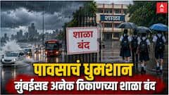 राज्यात पावसाचं तांडव! मुंबई, ठाणे, नाशिक, पालघरसह सहा जिल्ह्यांतील शाळा-महाविद्यालयांना सुट्टी जाहीर