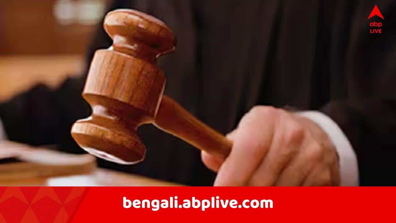 Kalighat TMC: 'কালীঘাট তৃণমূল'-এর ছাত্র-যুবকে মিছিলের অনুমতি হাইকোর্টের, তাৎপর্যপূর্ণ মন্তব্য় বিচারপতি সৌগত ভট্টাচার্যর, “আমার পুরনো দিনের কথা মনে পড়ে যাচ্ছে..”