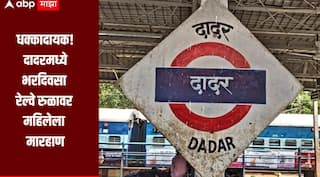 भरदिवसा रेल्वे रुळावरच महिलेला मारहाण, दादर रेल्वे स्थानकावरील धक्कादायक प्रकार, व्हिडिओ सोशल मीडियावर व्हायरल