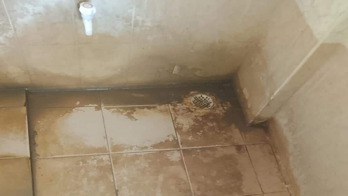 பேராவூரணி கல்லூரியில் சுகாதாரமற்ற கழிப்பறைகள்: மாணவ, மாணவிகள் அவதி