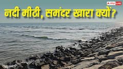 मीठा होता है नदी का पानी, फिर समंदर में पहुंचकर क्यों हो जाता है खारा? 