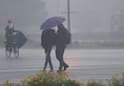 Gujarat Rain: 5 વરસાદી સિસ્ટમ સક્રિય થતા આગામી 2 દિવસ ભારે વરસાદની આગાહી, જાણો ક્યાં તૂટી પડશે