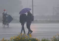 Gujarat Rain: 5 વરસાદી સિસ્ટમ સક્રિય થતા આગામી 2 દિવસ ભારે વરસાદની આગાહી, જાણો ક્યાં તૂટી પડશે