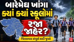 Surat School Holiday : ભારે વરસાદની આગાહીને પગલે સુરત, વલસાડ અને વાપીમાં સ્કૂલોમાં રજા જાહેર