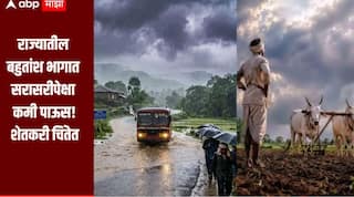 Maharashtra Rain : राज्यातील बहुतांश भागात सरासरीपेक्षा कमी पाऊस, 8 जुलैपासून पावसात घट होणार, शेतकरी चिंतेत