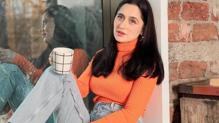 Sanjeeda has been working in the entertainment world for more than two decades. He also proved himself in the TV industry with serials like 'Qayamat', 'Ek Haseena Thi' and 'Ishq Ka Rang Safed'.