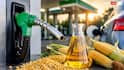 E20 Fuel Row Deepens: Govt May Delay E25 Petrol Rollout Amid Mileage, Engine Concerns