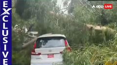 दिल्ली में बारिश और आंधी से गिरे कई पेड़, ग्रेटर कैलाश में दबीं गाड़ियां, देखें तस्वीरें