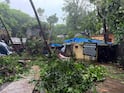 मुंबईत तीन दिवसांत 400 झाडं पडली, 600 फांद्या तुटल्या; दोघांचा मृत्यू, महापालिका आयुक्तांनी दिली माहिती