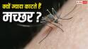 Mosquito Bite Reasons: कुछ लोगों को ज्यादा क्यों काटते हैं मच्छर, क्या है इसके पीछे की वजह? 