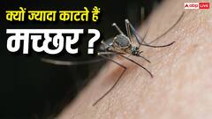 कुछ लोगों को ज्यादा क्यों काटते हैं मच्छर, क्या है इसके पीछे की वजह? 