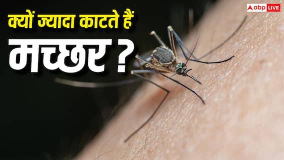 Mosquito Bite Reasons: कुछ लोगों को ज्यादा क्यों काटते हैं मच्छर, क्या है इसके पीछे की वजह? Mosquito Bite Reasons: कुछ लोगों को ज्यादा क्यों काटते हैं मच्छर, क्या है इसके पीछे की वजह?