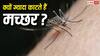 Mosquito Bite Reasons: कुछ लोगों को ज्यादा क्यों काटते हैं मच्छर, क्या है इसके पीछे की वजह?