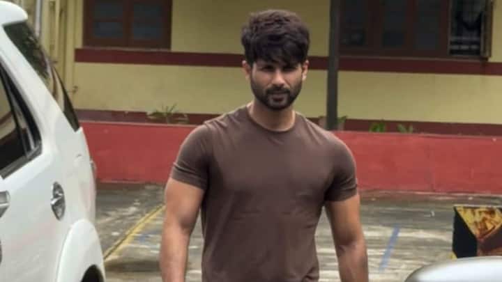 Shahid Kapoor spotted in Bandra wearing a monochromatic brown ensemble featuring a tight-fitting t-shirt and loose harem pants.