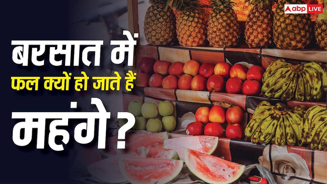 Why fruit prices increase during rainy season know reasons behind expensive fruits in monsoon Fruits Expensive During Monsoon Reasons: बरसात के मौसम में क्यों महंगे हो जाते हैं फल, क्या है इसके पीछे की वजह?