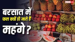 बरसात के मौसम में क्यों महंगे हो जाते हैं फल, क्या है इसके पीछे की वजह?