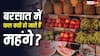 Fruits Expensive During Monsoon Reasons: बरसात के मौसम में क्यों महंगे हो जाते हैं फल, क्या है इसके पीछे की वजह?