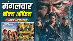 Live: 10 बजे तक 42 करोड़ के पार 'अल्फा', जानें- 'वेलकम टू द जंगल' का कलेक्शन