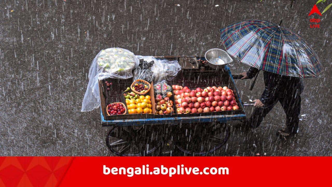 Weather Update: কমলা-হলুদ পেরিয়ে লাল সতর্কতা, সুস্পষ্ট নিম্নচাপ, ভারী বর্ষণের পূর্বাভাস রাজ্যজুড়ে, কী বলছে IMD ?